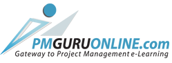 pmGURUonline.com