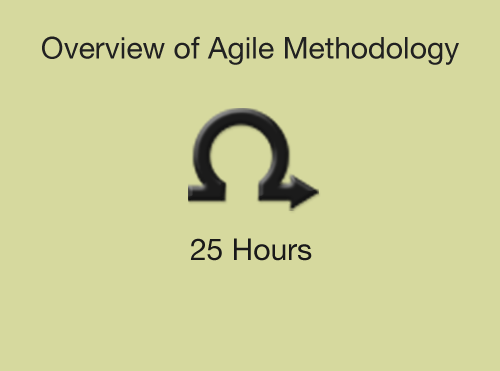 Overview of Agile Methodology