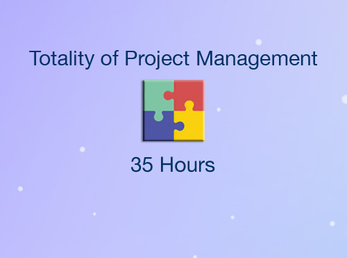 Totality of Project Management