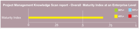 PMKS Maturity Index