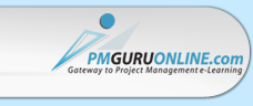 pmGURUonline.com Logo